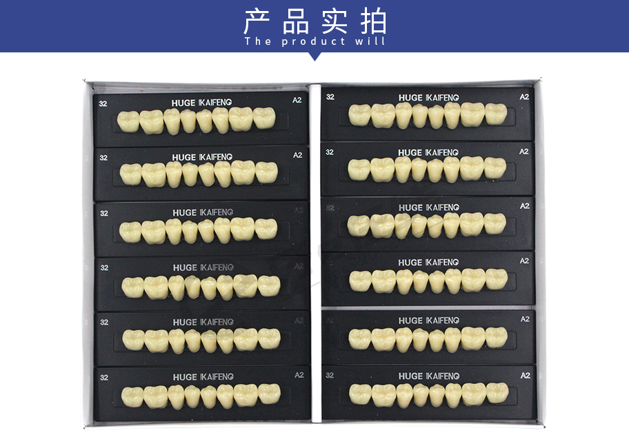 /inside/上海沪鸽-合成树脂牙（凯丰）12板-8X1_05-1541663721801.jpeg