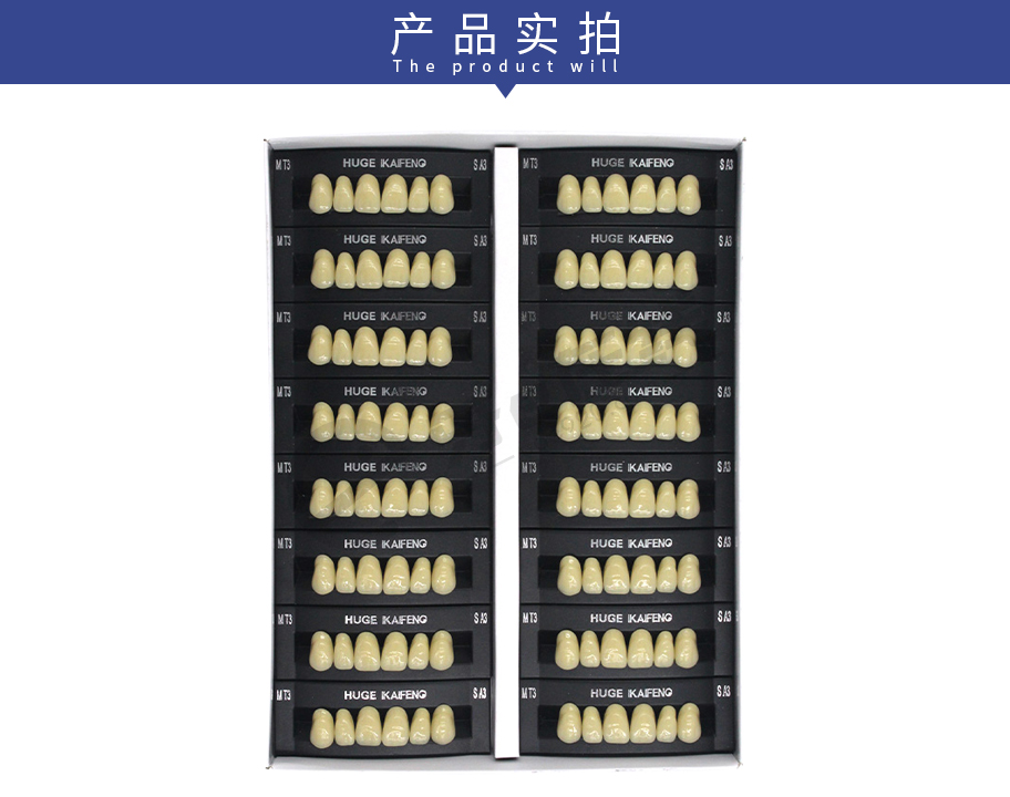 /inside/上海沪鸽-合成树脂牙（凯丰）16板-6X1_05-1541670081173.jpeg