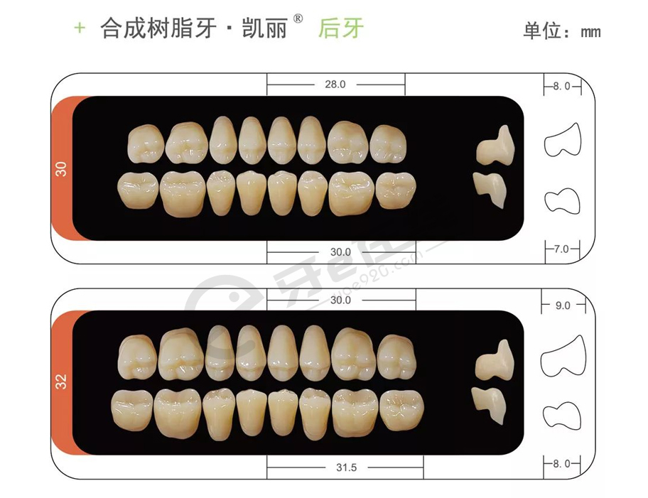 /inside/上海沪鸽-合成树脂牙（凯丽）6X1_10-1552095325238.jpeg