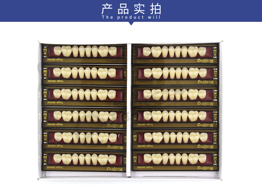 /inside/上海沪鸽-合成树脂牙（凯晶）12板-8X1_06-1541667025525.jpeg