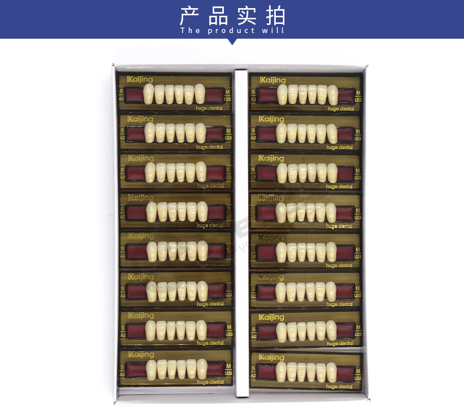 /inside/上海沪鸽-合成树脂牙（凯晶）16板-6X1_06-1541667775014.jpeg