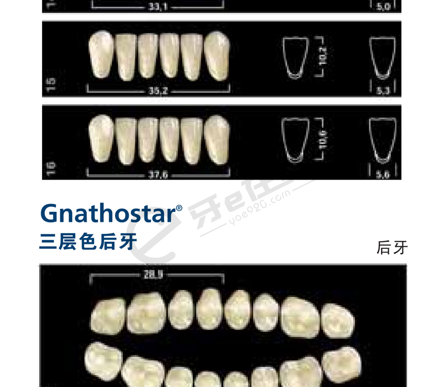 /inside/义获嘉-三层色合成树脂牙（前牙）6x1_11-1552968994863.jpeg
