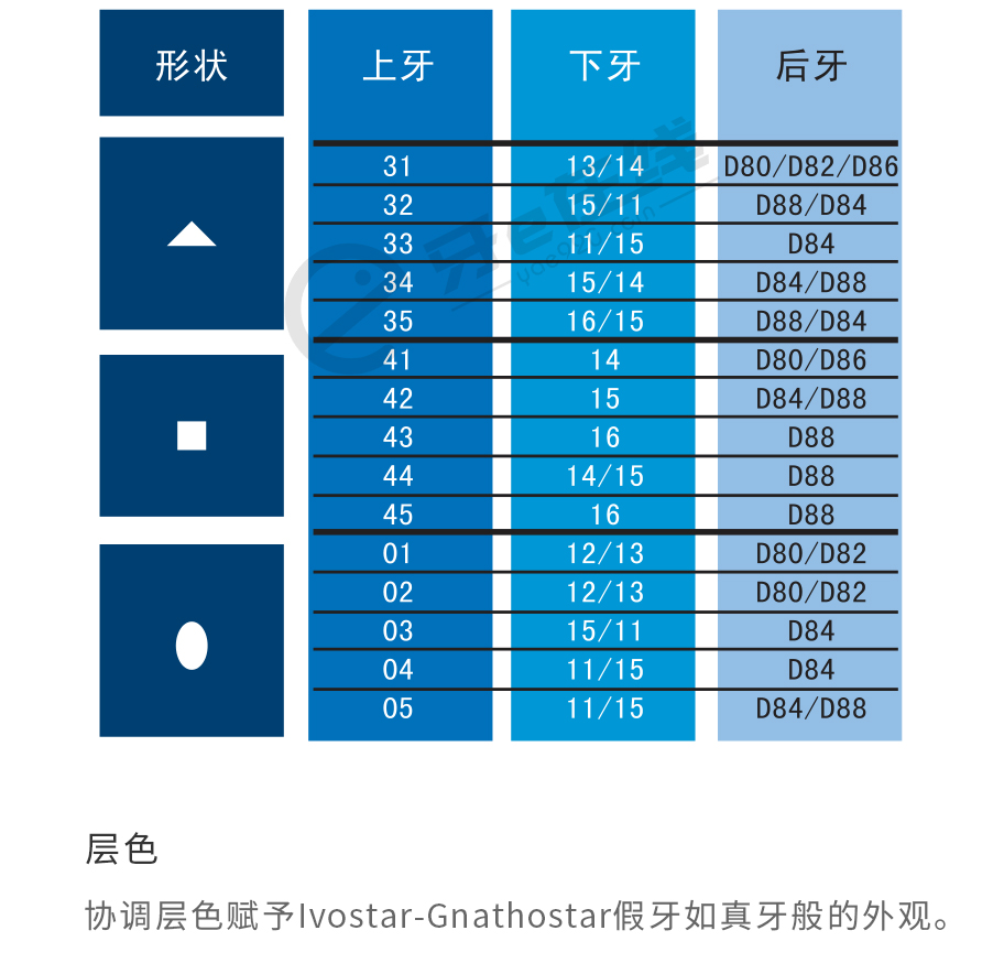 /inside/义获嘉-三层色合成树脂牙（前牙）6x1_15-1552968995540.jpeg