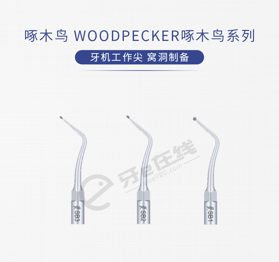 /inside/啄木鸟-WOODPECKER啄木鸟系列洁牙机工作尖【窝洞制备】_01-1543029901869.jpeg