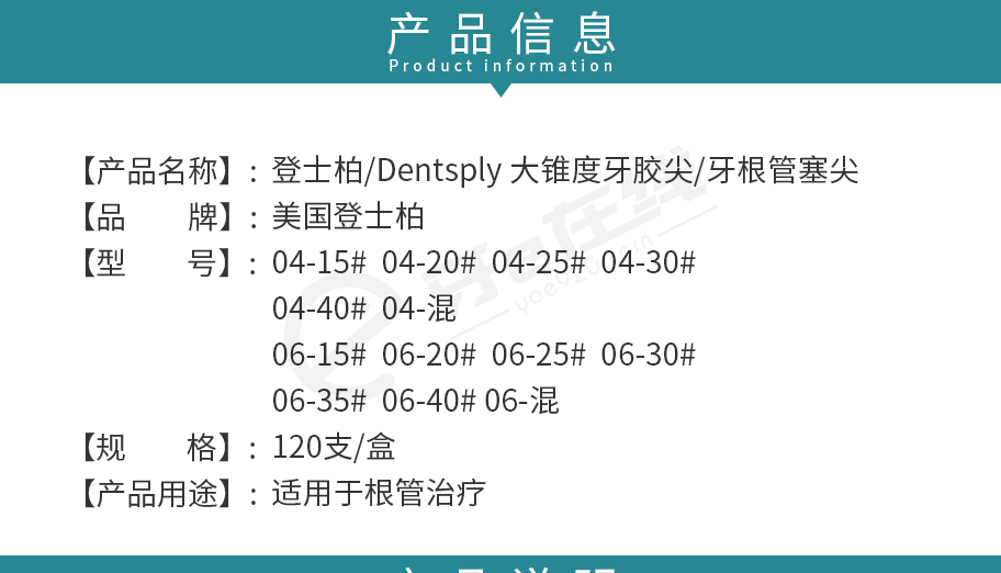 登士柏 大锥度牙胶尖/牙根管塞尖 4锥度/6锥度